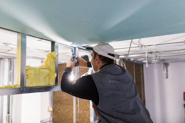 Best Geographic-Specific Insulation Services in Colony Rk, PA