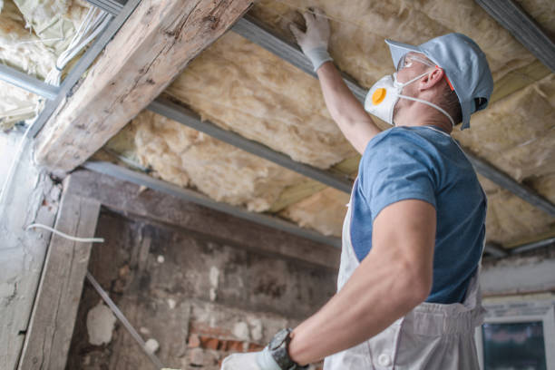 Best Cellulose Insulation in Colony Rk, PA